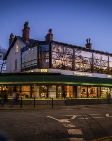 NEW Waterfall Canopy Cibo Hale 10 LR