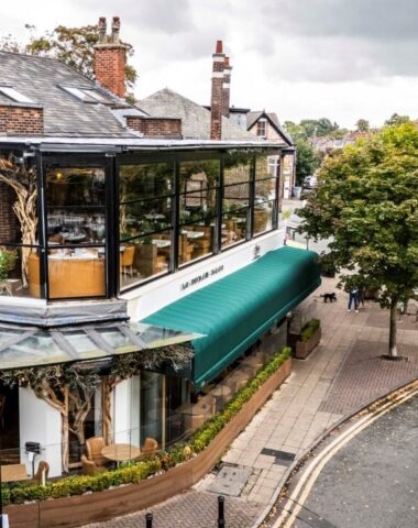 Waterfall Canopy Cibo Hale 20 LR