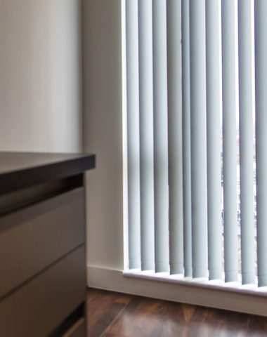 Vertical blinds control the light