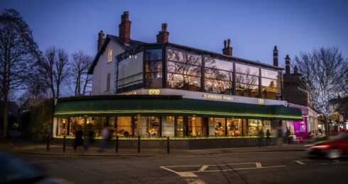 NEW Waterfall Canopy Cibo Hale 10 LR