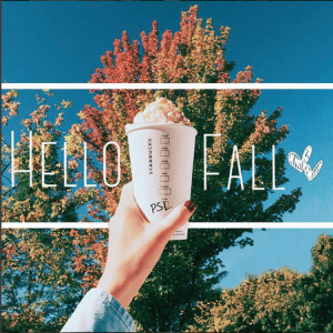 Hello Fall