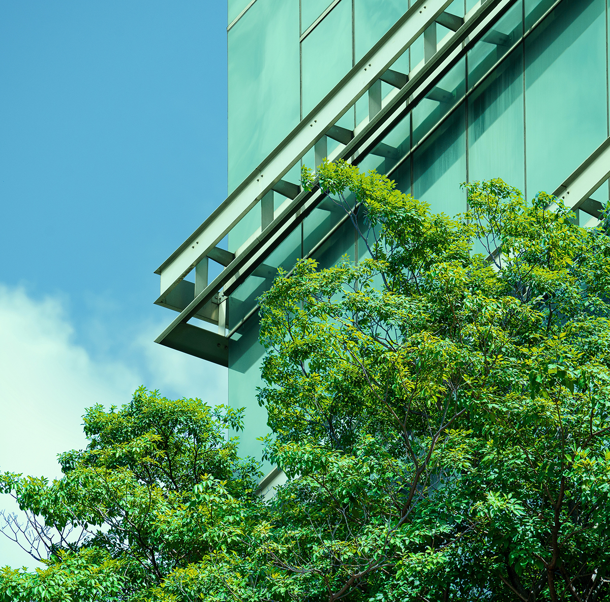 Green building commercial